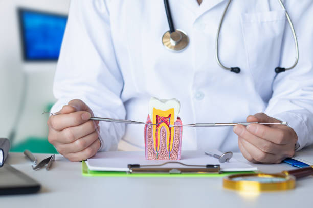 Best Cosmetic Emergency Dentistry in Miami, FL